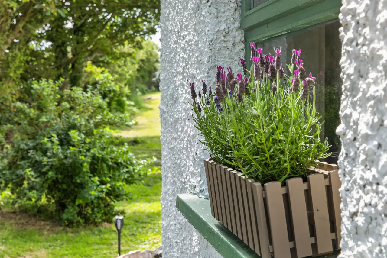 Photo of Cairn View Cottage, Knocknarea, Strandhill, Co. Sligo, F91YK53