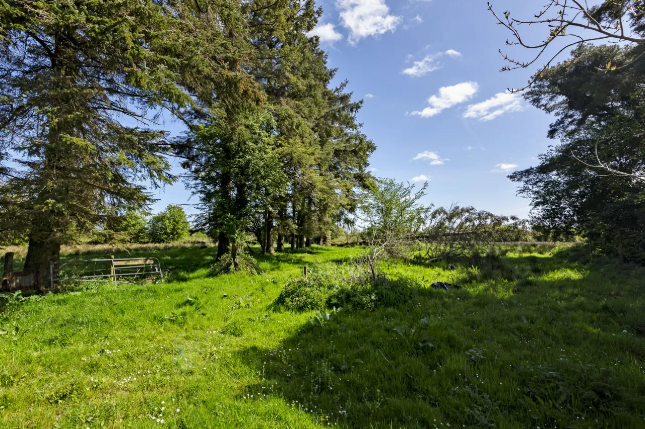 Photo of Moylough, Tubbercurry, Co. Sligo, F91HP76