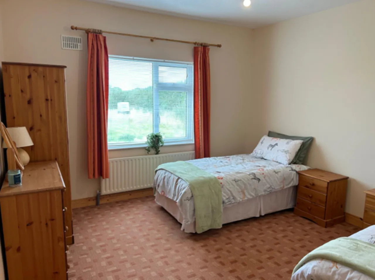 Photo of Main St, Kinnegad, Co. Westmeath, N91YE0K