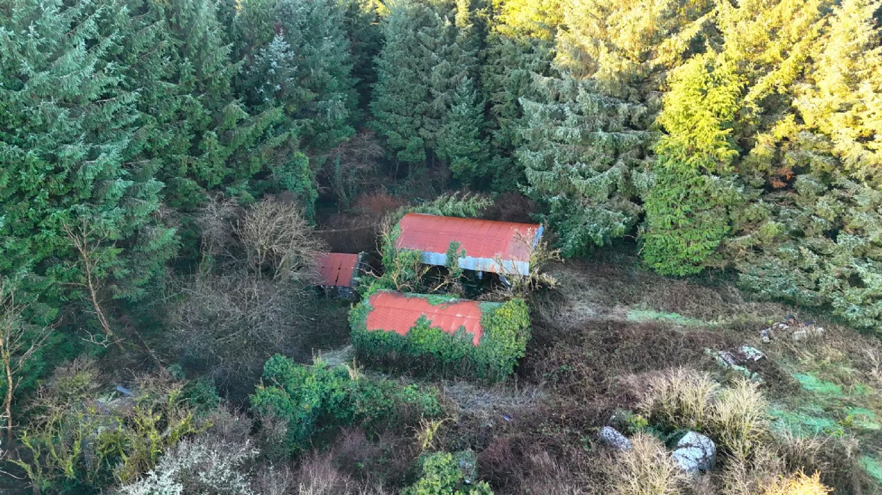 Photo of Srah Lower, Carracastle, Ballaghaderreen, Co Mayo