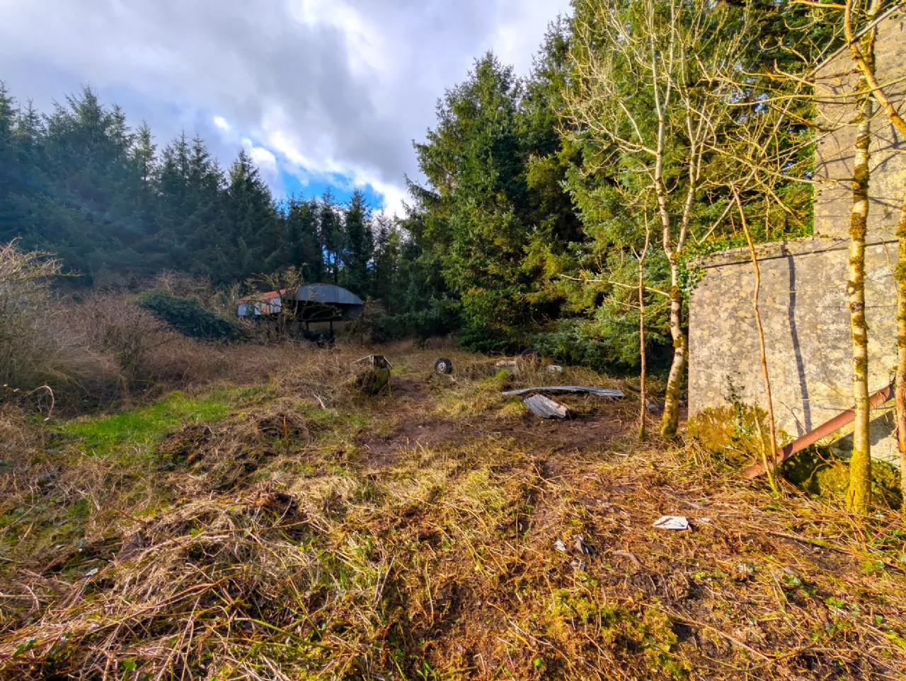 Photo of Srah Lower, Carracastle, Ballaghaderreen, Co Mayo