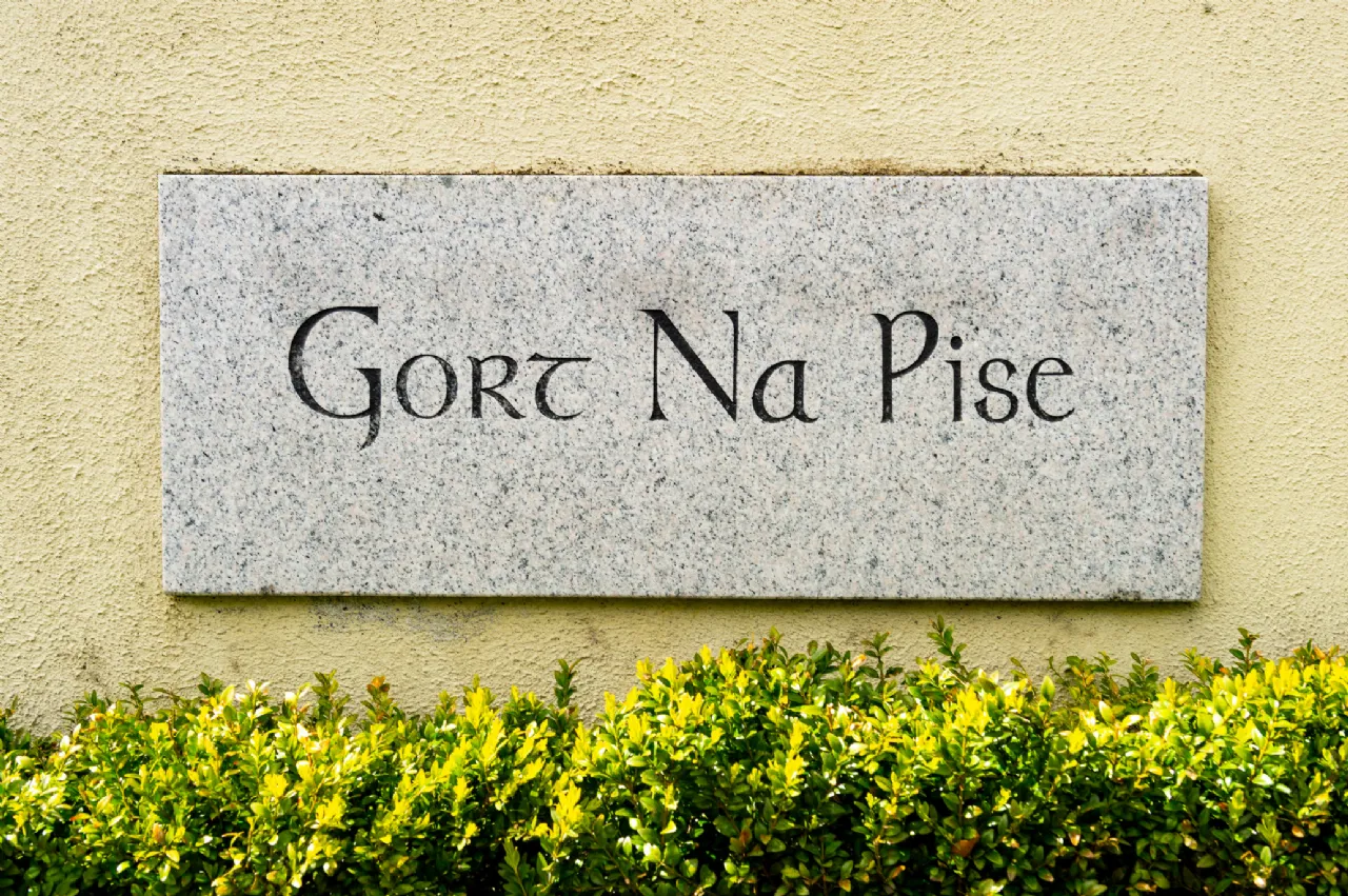 Photo of Gort na Pise, Peafield, Pike Of Rushall, Co. Laois, R32 N9Y7