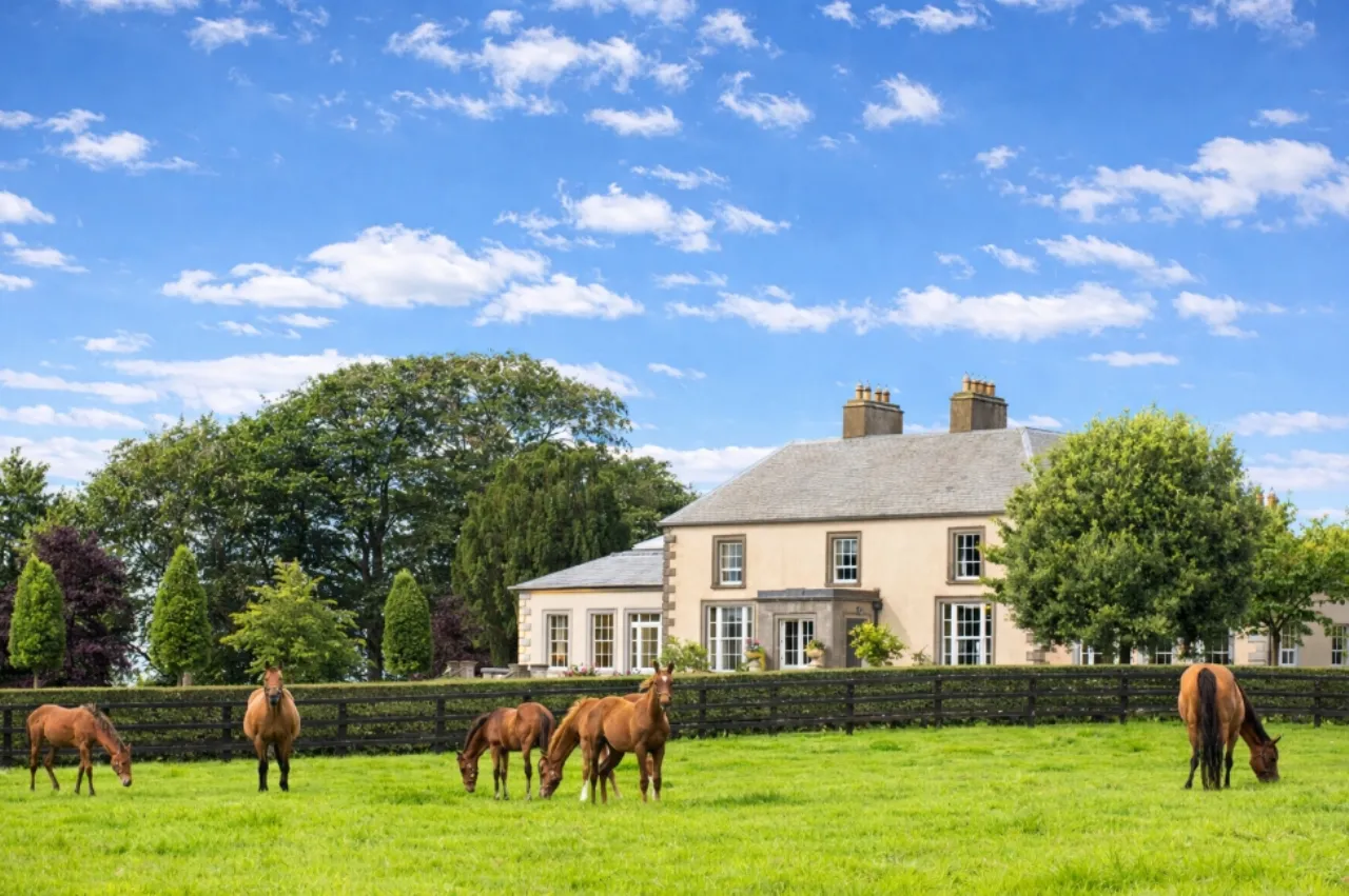 Photo of Triermore House and Stud Farm, Fordstown, Navan, County Meath, C15 H5KH