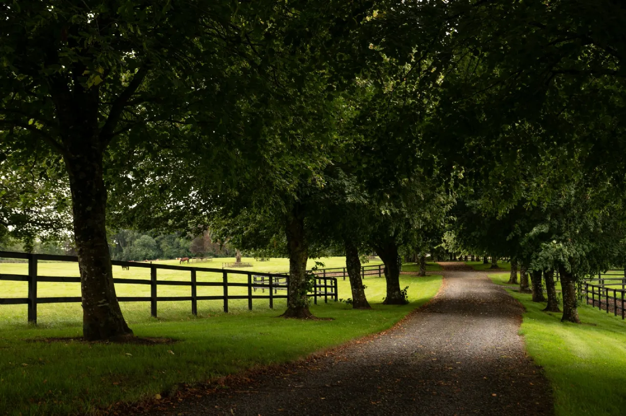 Photo of Triermore House and Stud Farm, Fordstown, Navan, County Meath, C15 H5KH