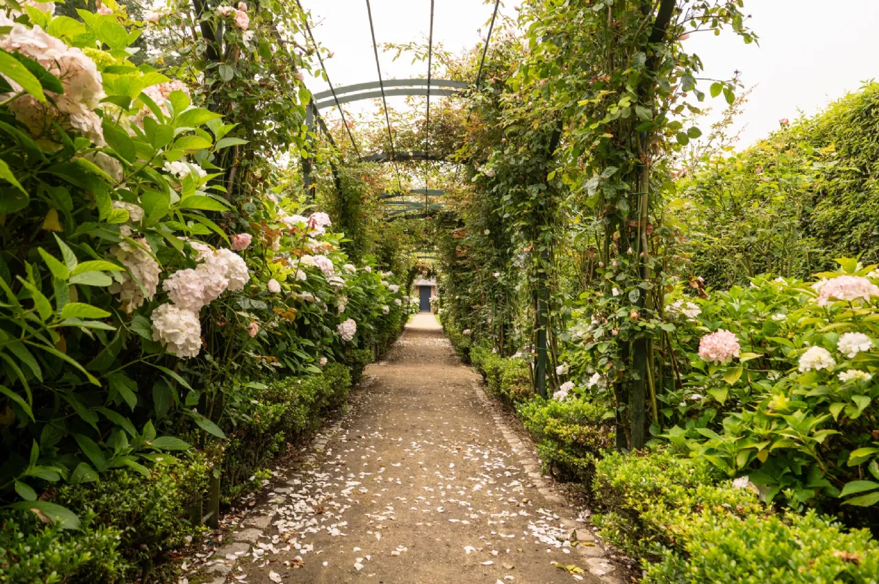 Photo of Triermore House and Stud Farm, Fordstown, Navan, County Meath, C15 H5KH