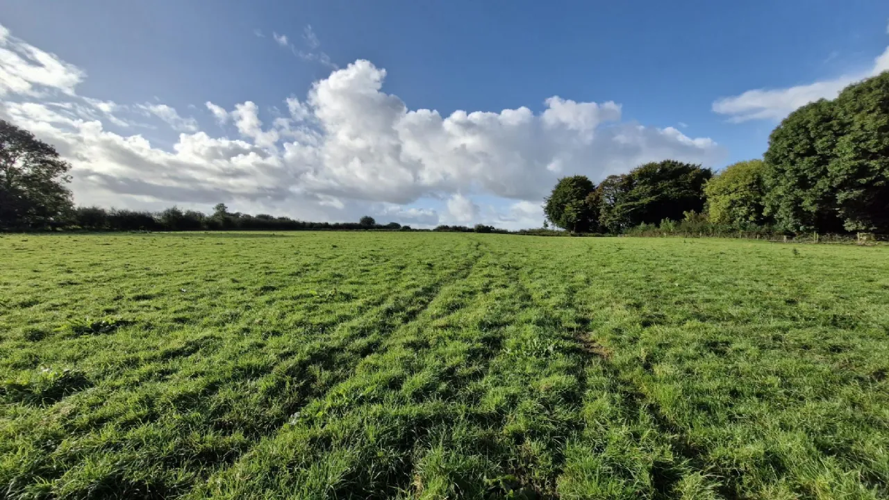 Photo of 19.23 Acres Of Land In Lehid, Lehid, Tuam, Co. Galway