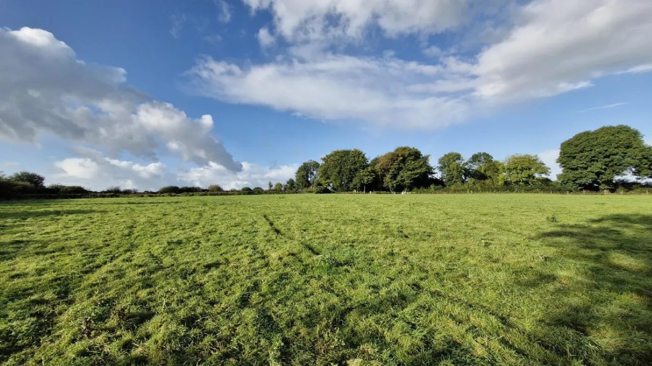 Photo of 19.23 Acres Of Land In Lehid, Lehid, Tuam, Co. Galway