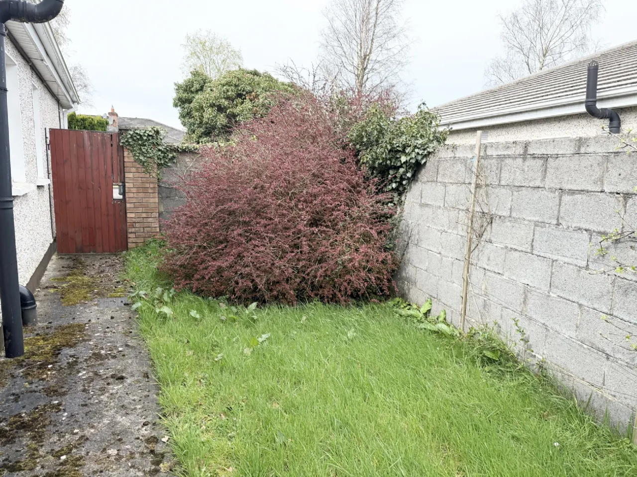 Photo of 68 The Downings, Prosperous, Co Kildare, W91 AW26