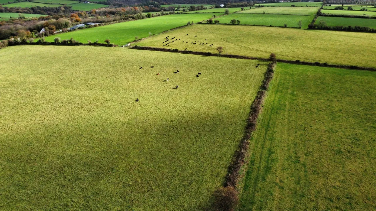 Photo of House On 3.5 Acres, Glenville, Co. Cork, T56 YK76