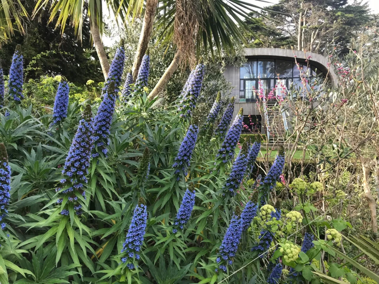 Photo of Ballynoe, 11 Claremont Road, Howth, Co Dublin, D13 CH56