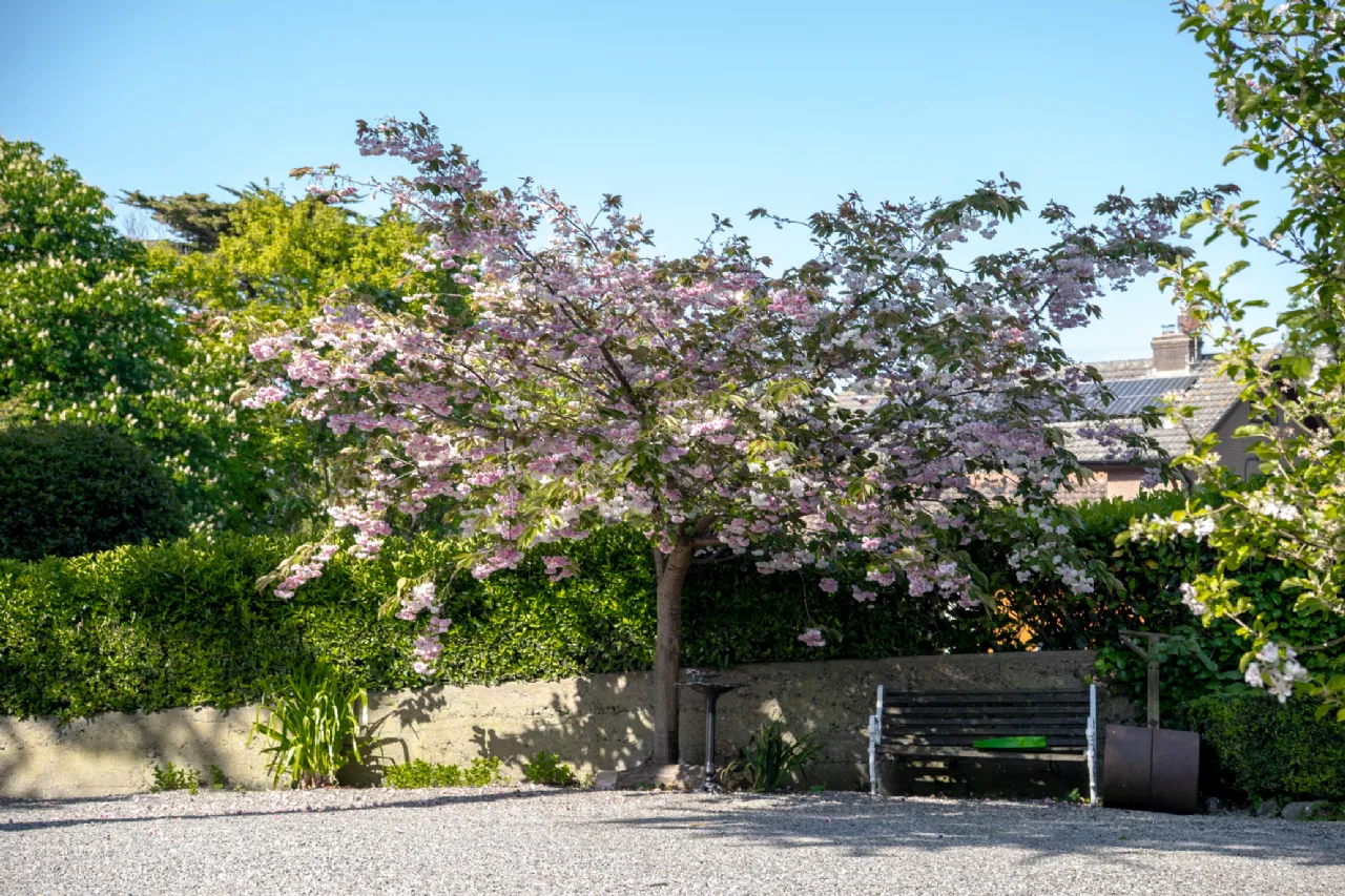 Photo of Ballynoe, 11 Claremont Road, Howth, Co Dublin, D13 CH56