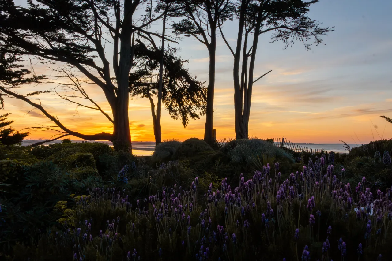 Photo of Ballynoe, 11 Claremont Road, Howth, Co Dublin, D13 CH56