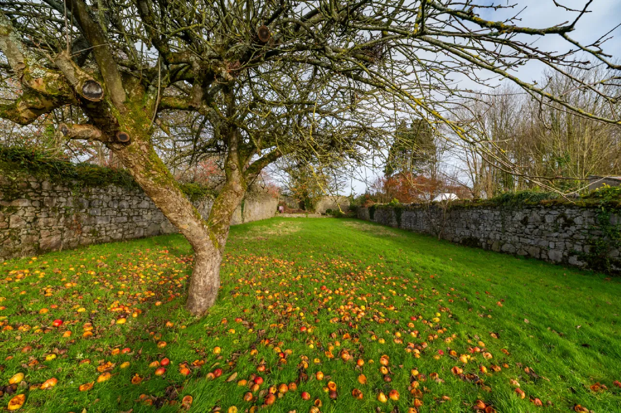 Photo of 4 John's Mall, Birr, Co Offaly, R42 VO45