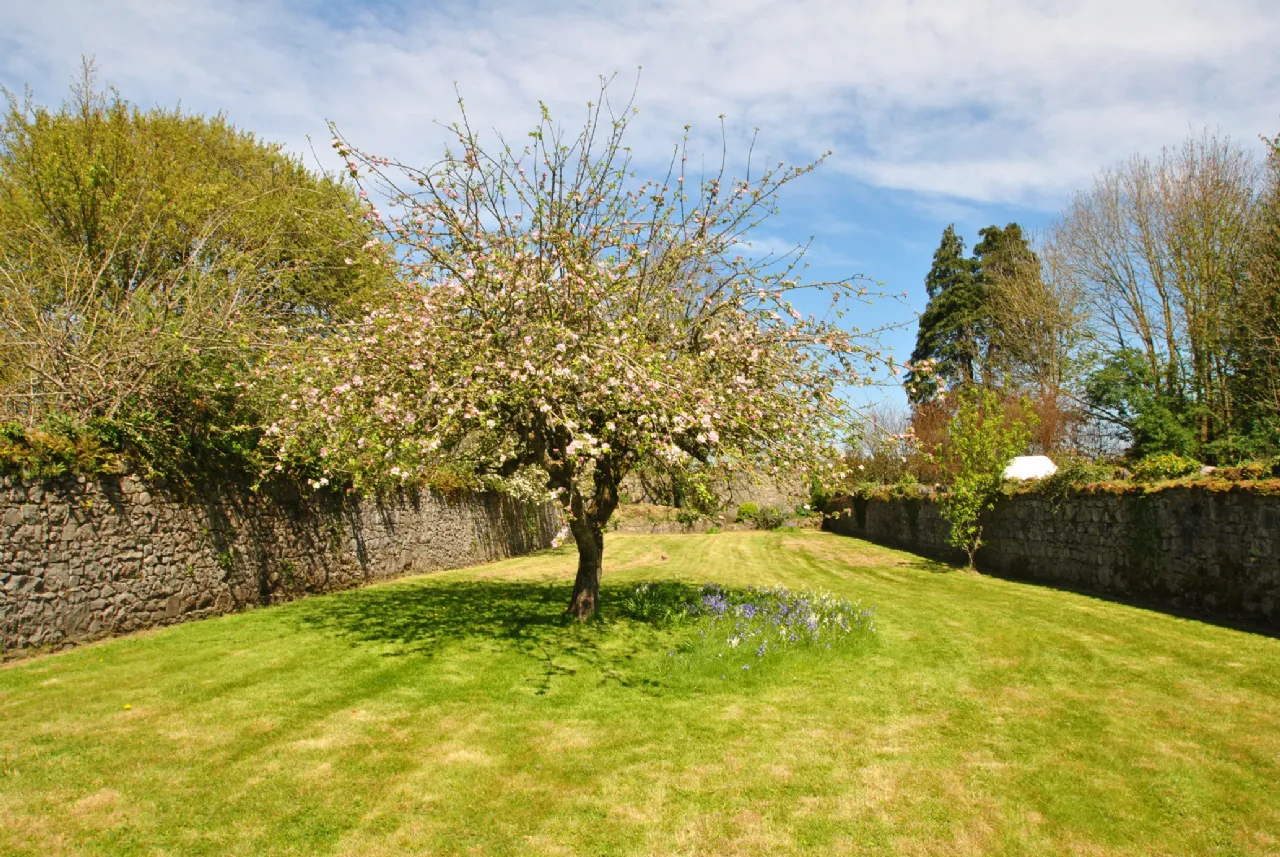 Photo of 4 John's Mall, Birr, Co Offaly, R42 VO45