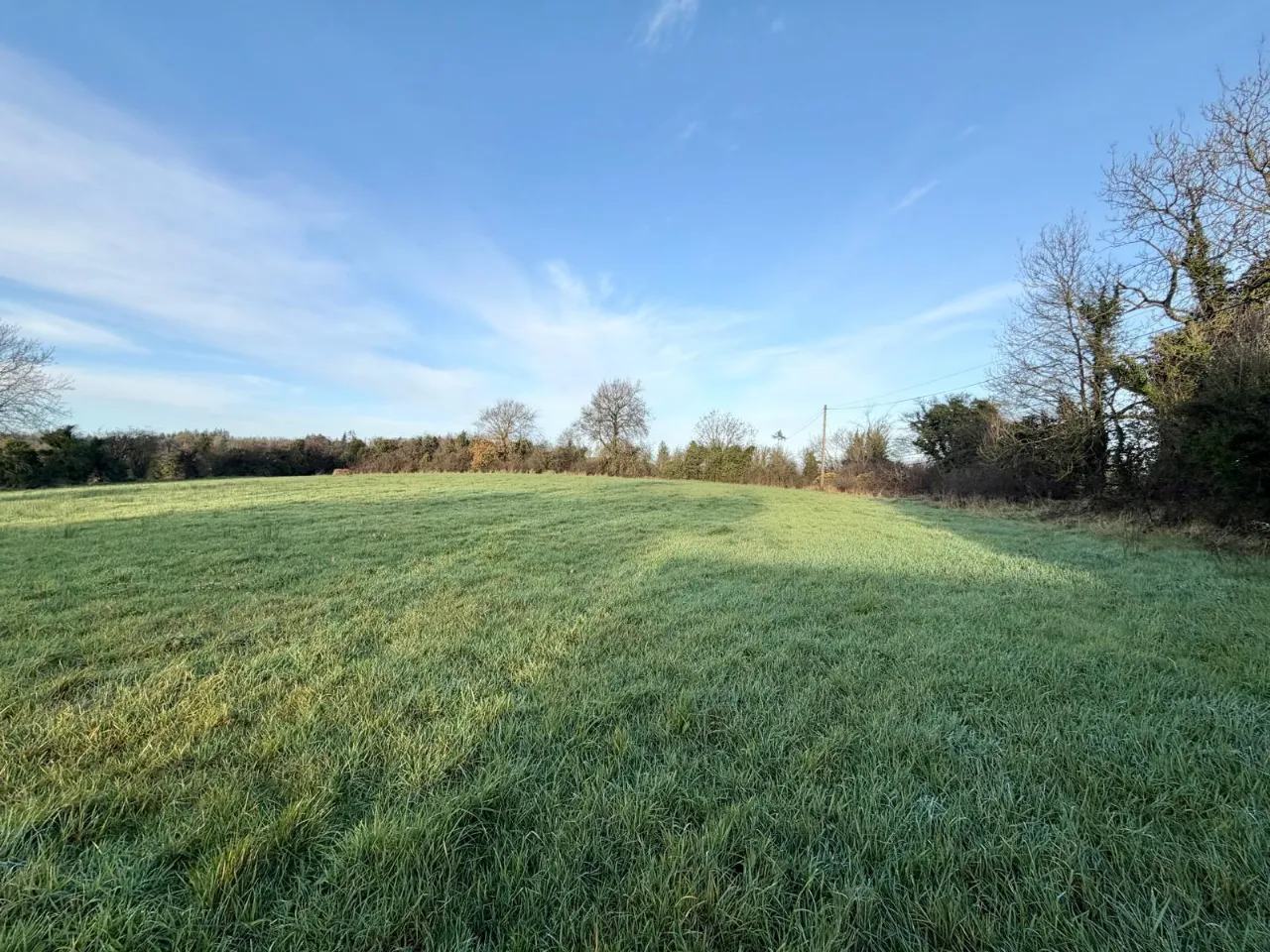 Photo of Site With F.P.P., Moyetra TD, Clontibret, Co. Monaghan