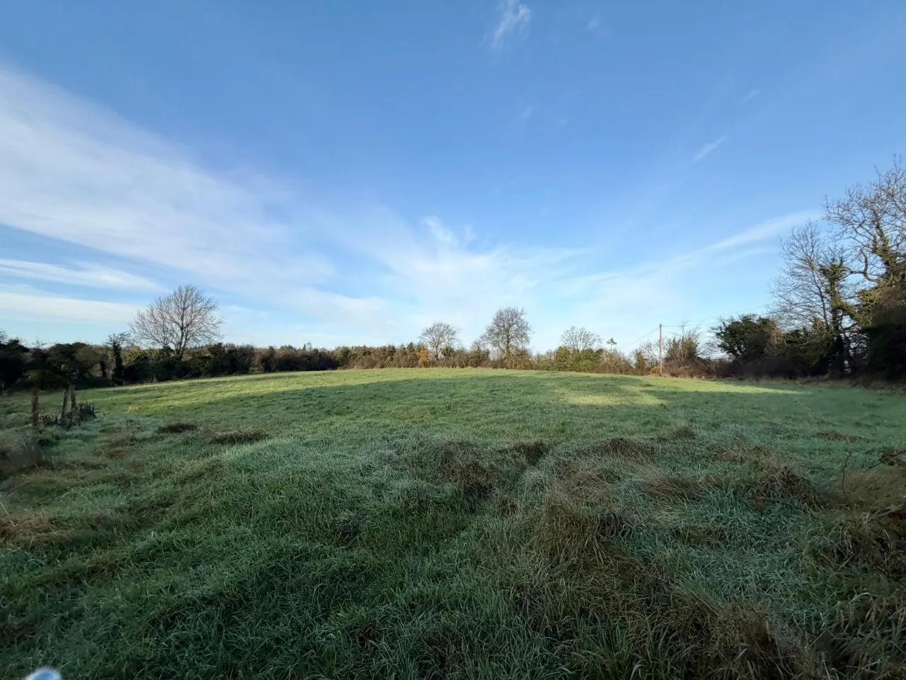 Photo of Site With F.P.P., Moyetra TD, Clontibret, Co. Monaghan