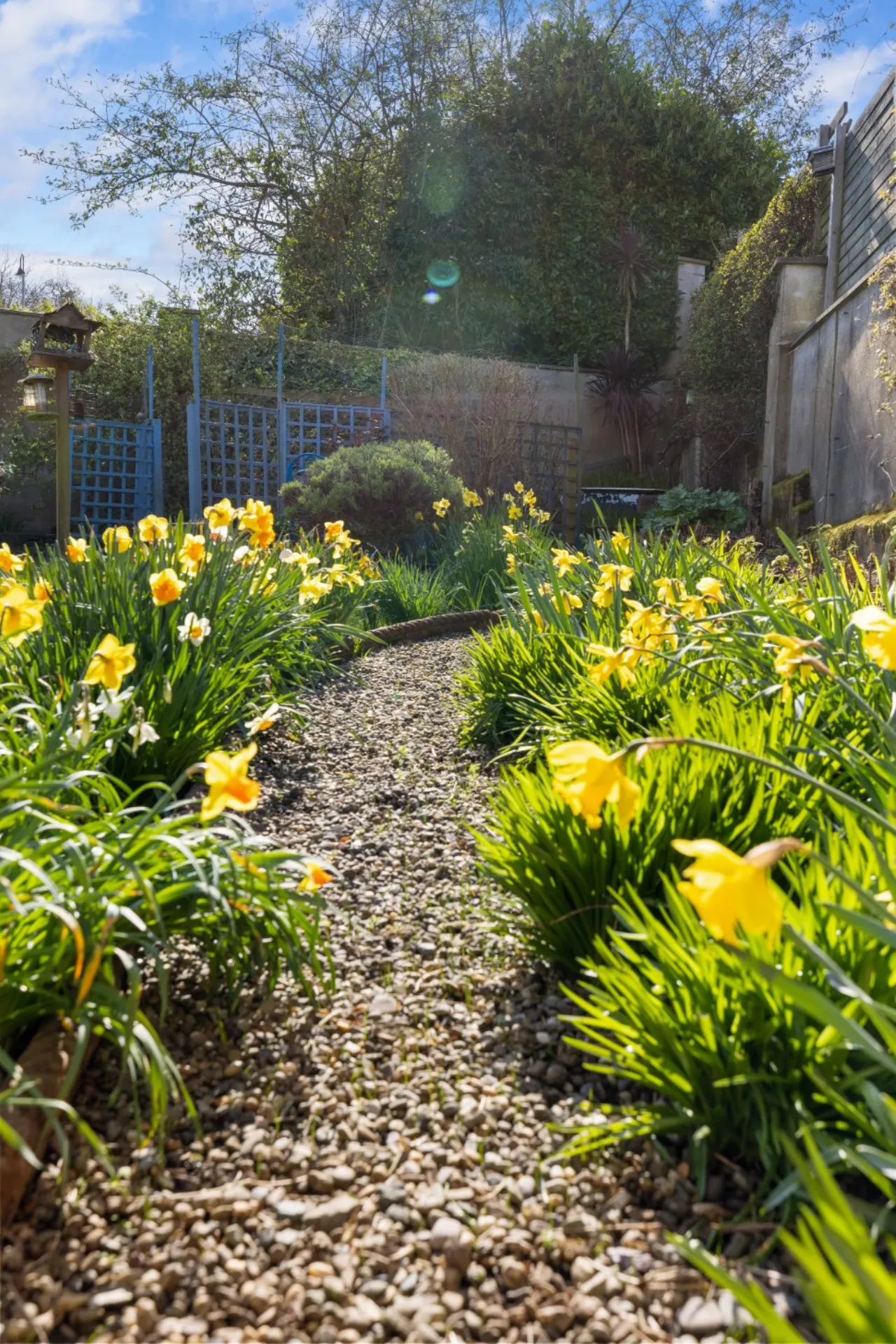 Photo of Farmleigh, Church Road, Greystones, Co Wicklow, A63 NV63