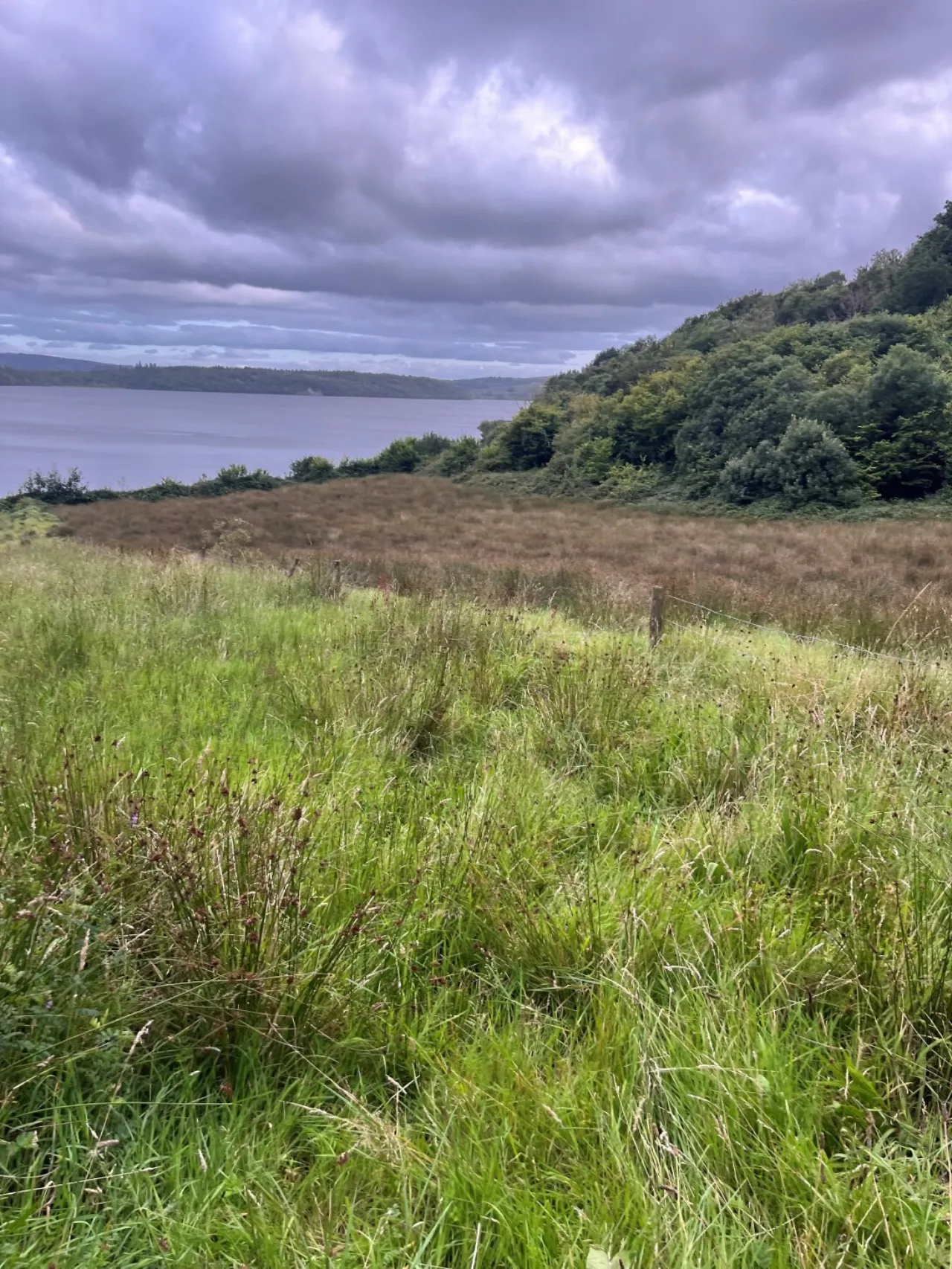 Photo of Ballynamona, Co. Sligo