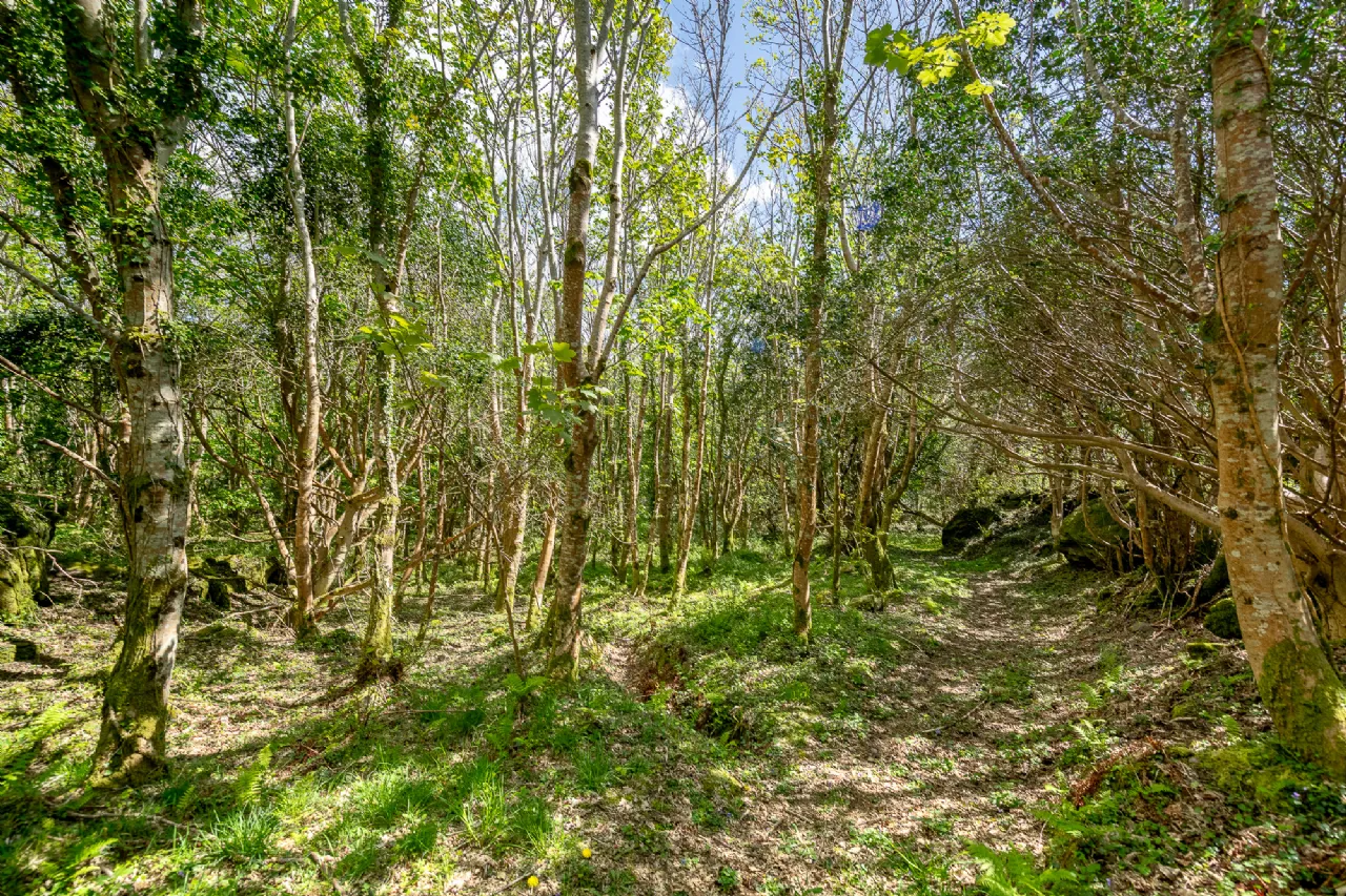 Photo of Derrynane Beg House, Caherdaniel, Co. Kerry, V23 KH48