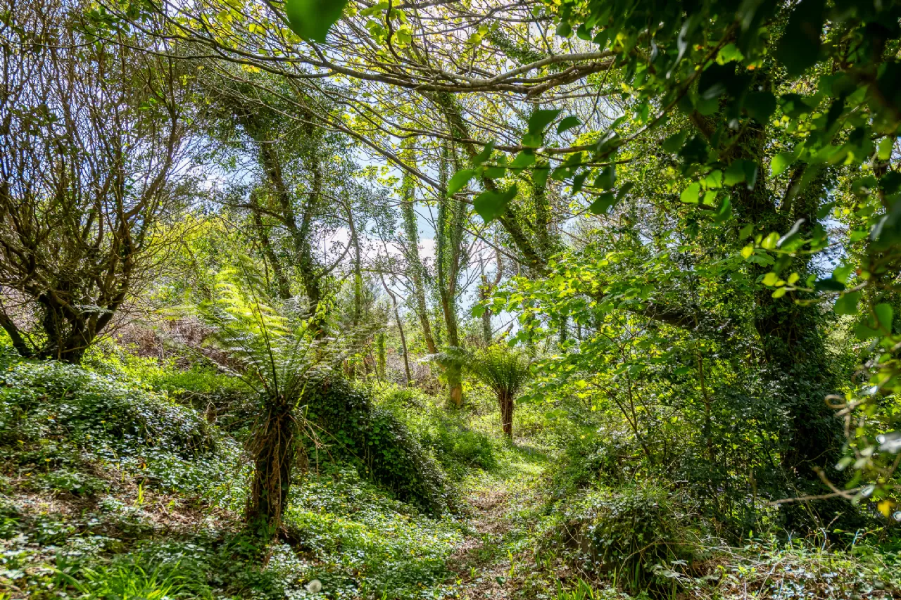 Photo of Derrynane Beg House, Caherdaniel, Co. Kerry, V23 KH48