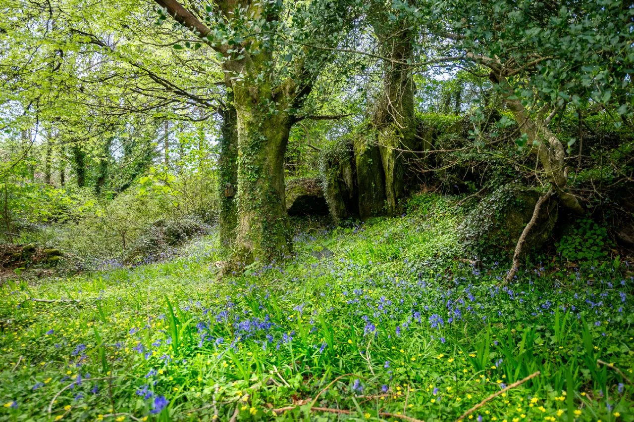 Photo of Derrynane Beg House, Caherdaniel, Co. Kerry, V23 KH48