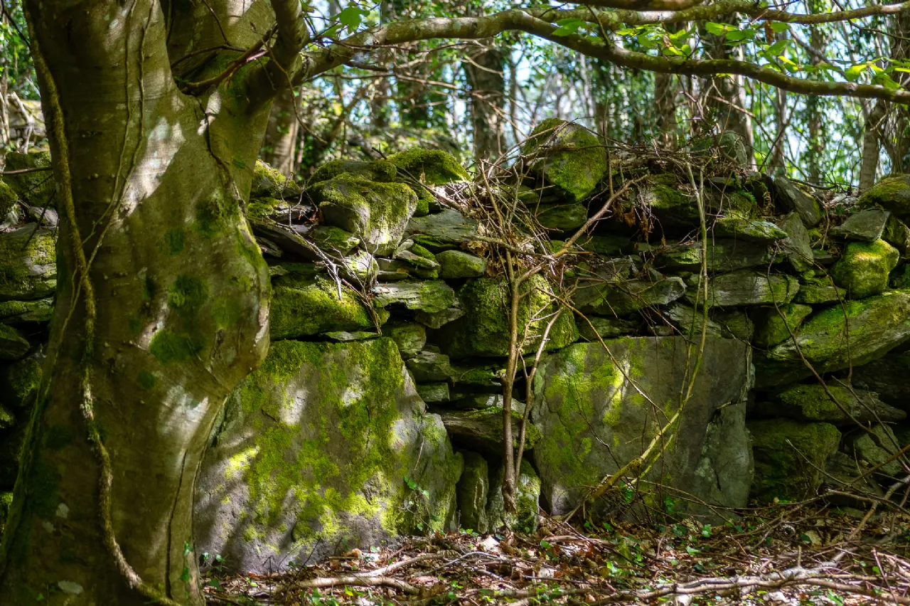 Photo of Derrynane Beg House, Caherdaniel, Co. Kerry, V23 KH48
