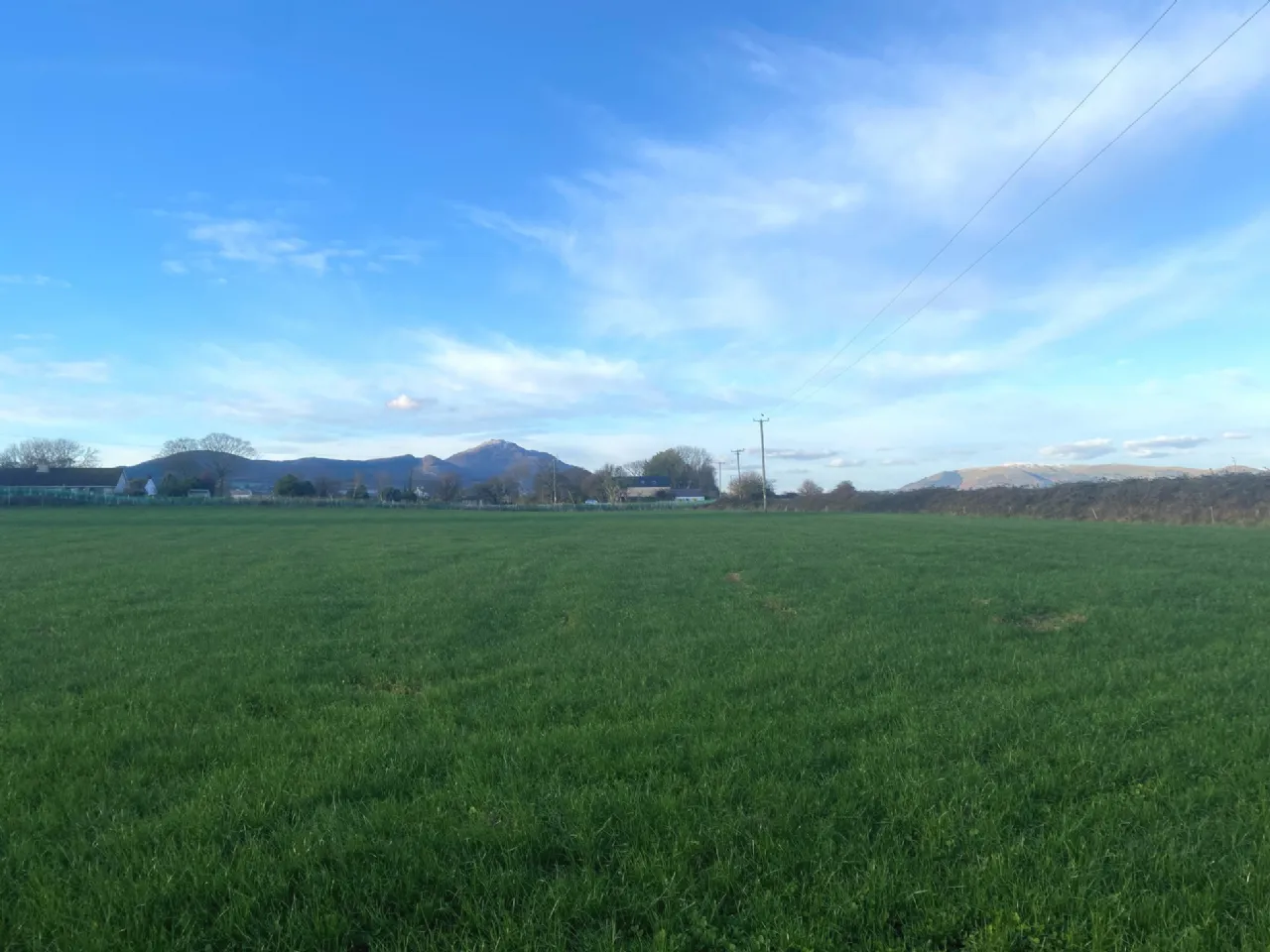 Photo of 4 Acres Grazing Lands, Templetown, Dundalk, Co. Louth