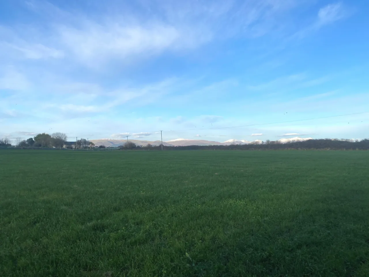 Photo of 4 Acres Grazing Lands, Templetown, Dundalk, Co. Louth