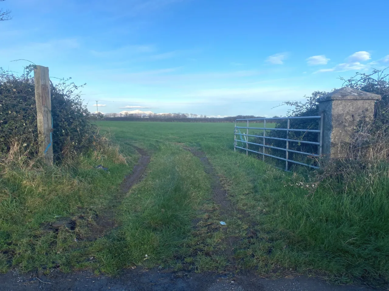 Photo of 4 Acres Grazing Lands, Templetown, Dundalk, Co. Louth