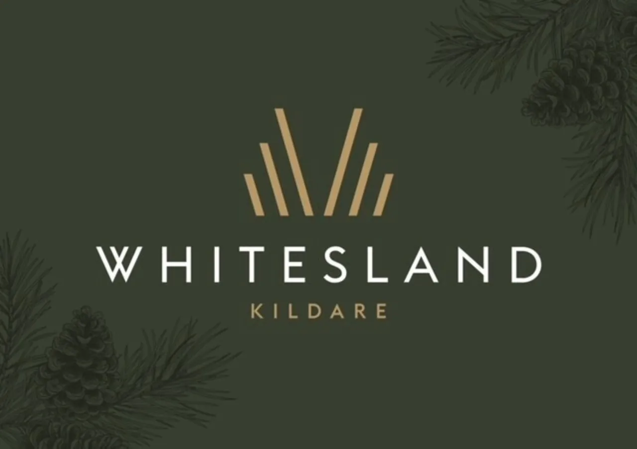 Photo of 4 Bedroom Detached, 25 Whitesland, Rathbride Road, Kildare Town, Co. Kildare