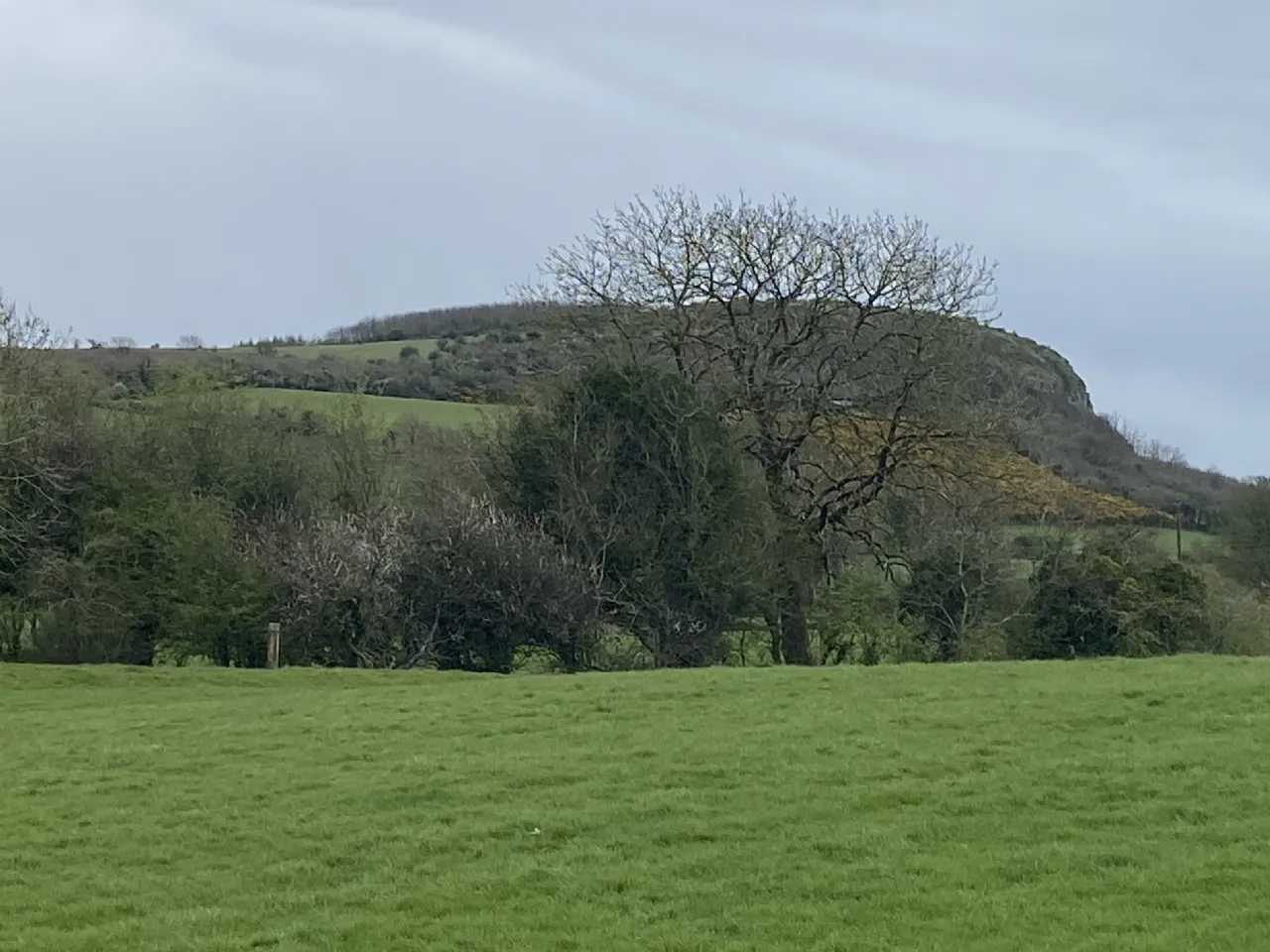 Photo of Carlanstown, Castletown, Finea, Co. Westmeath, N91 YA37