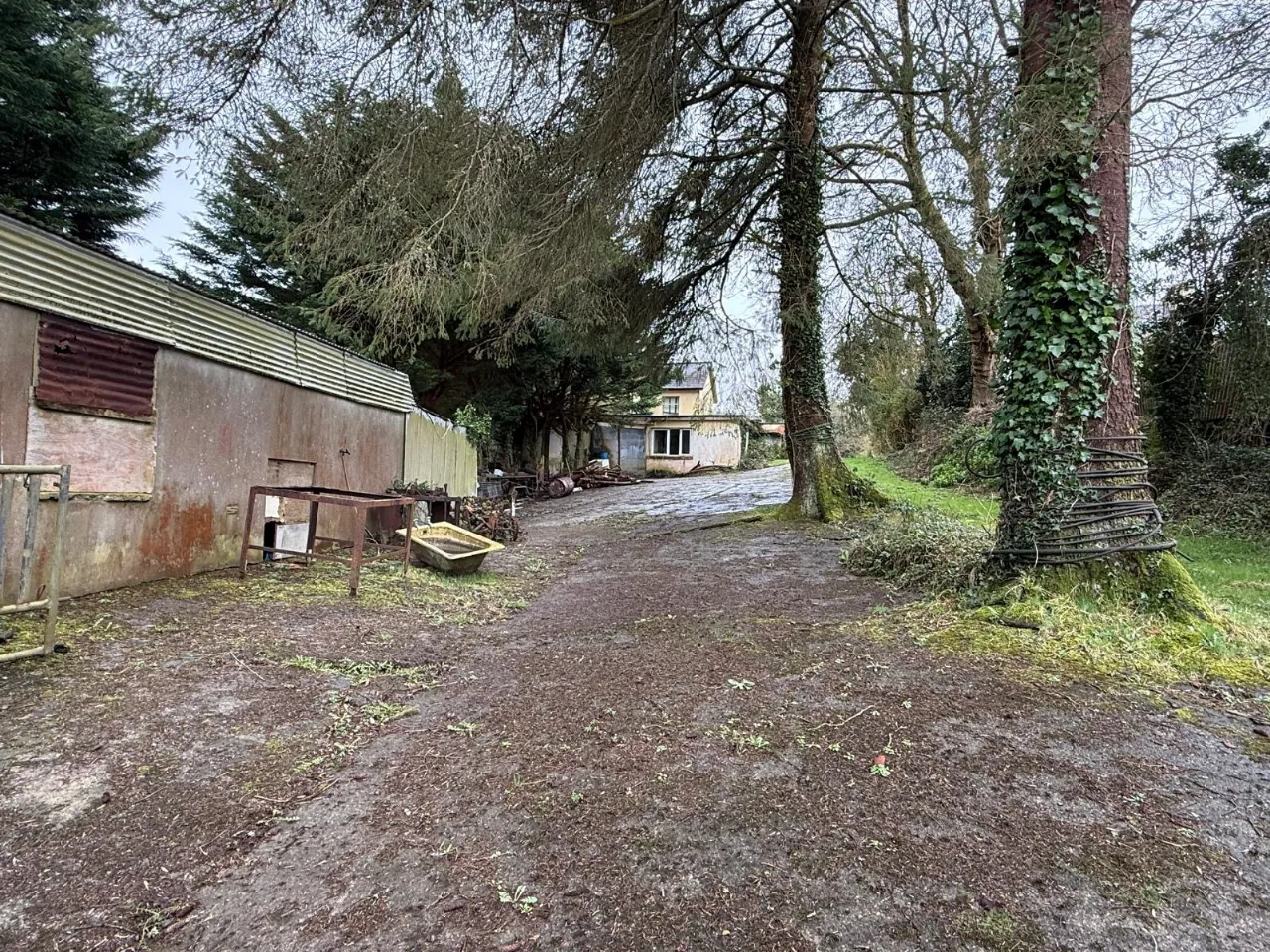 Photo of Glounlea, Currow, Co. Kerry, V93 X0D8