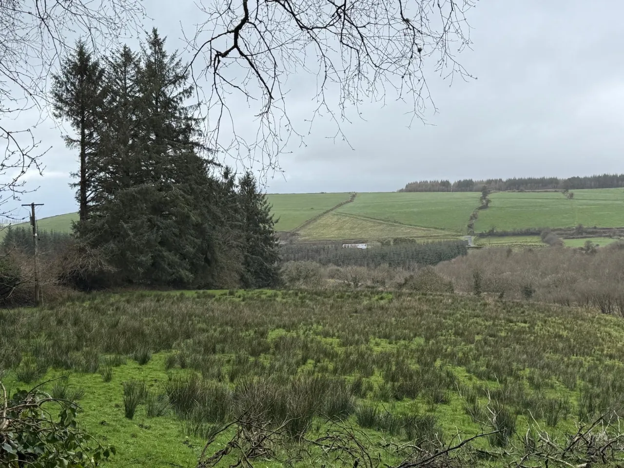 Photo of Glounlea, Currow, Co. Kerry, V93 X0D8