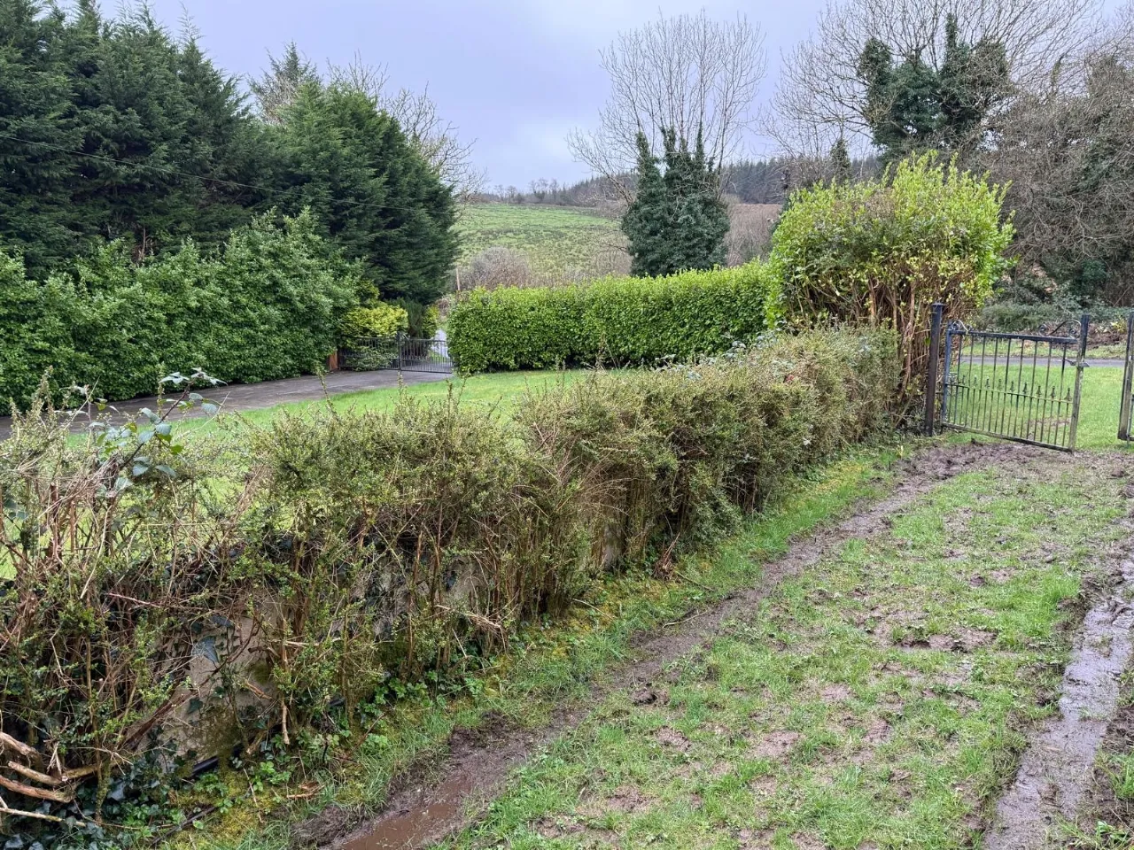 Photo of Glounlea, Currow, Co. Kerry, V93 X0D8