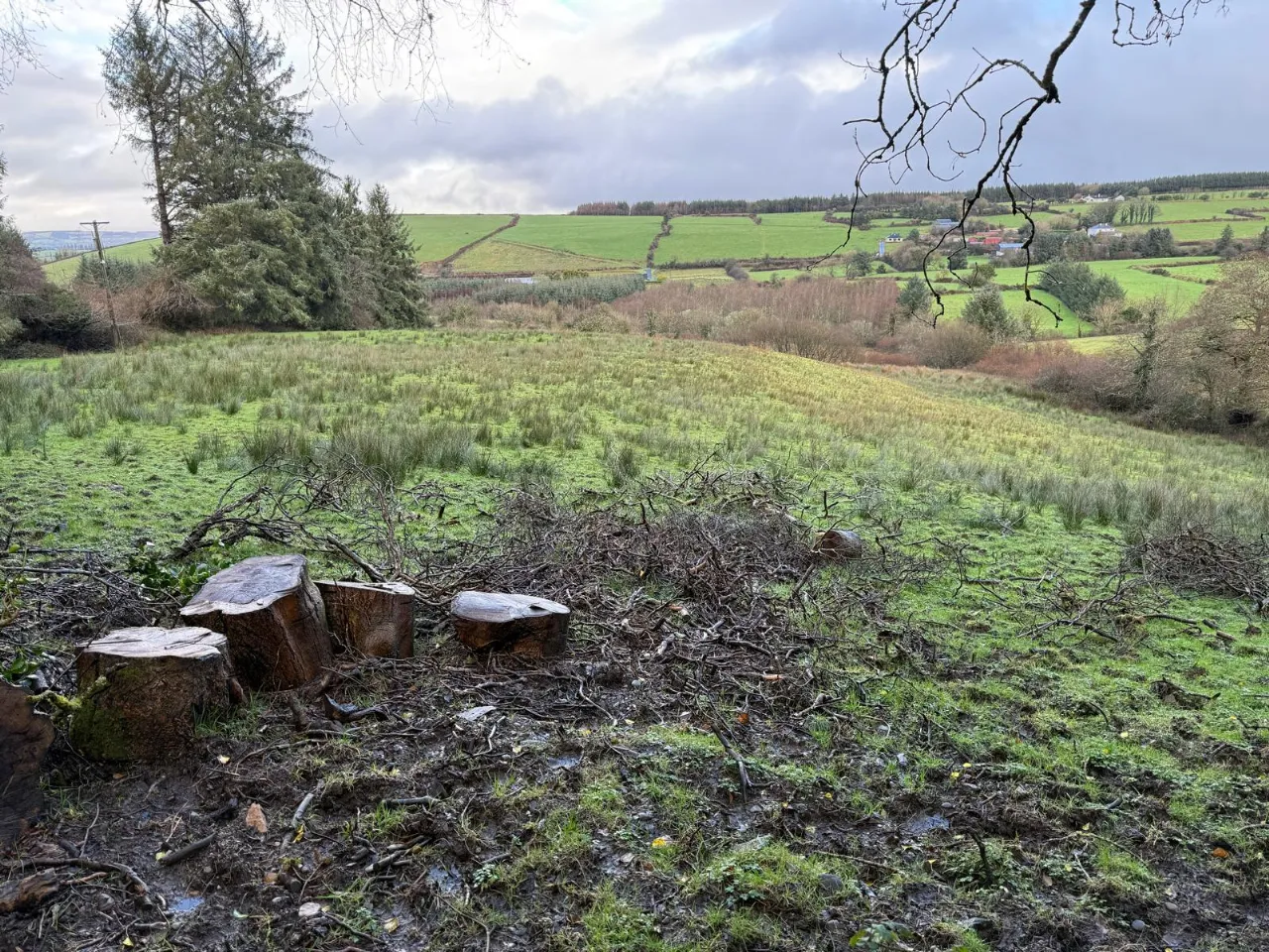 Photo of Glounlea, Currow, Co. Kerry, V93 X0D8