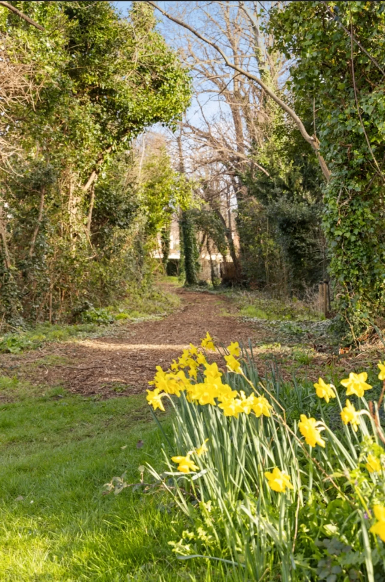 Photo of 20 Connawood Copse, Old Connawood, Bray, Co. Wicklow, A98 NH36