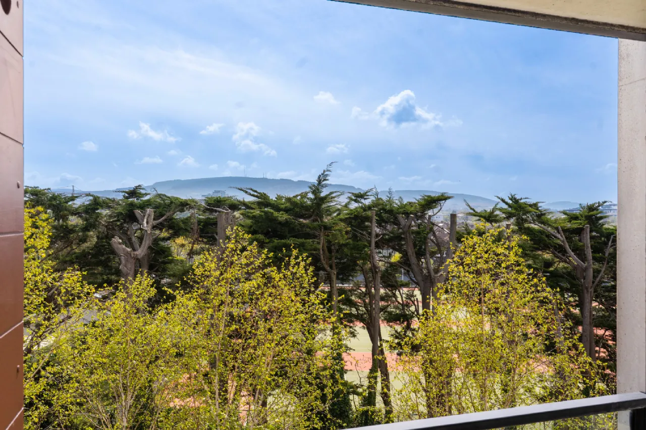 Photo of 17 Quartz, The Grange, Brewery Road, Stillorgan, A94 A5W6