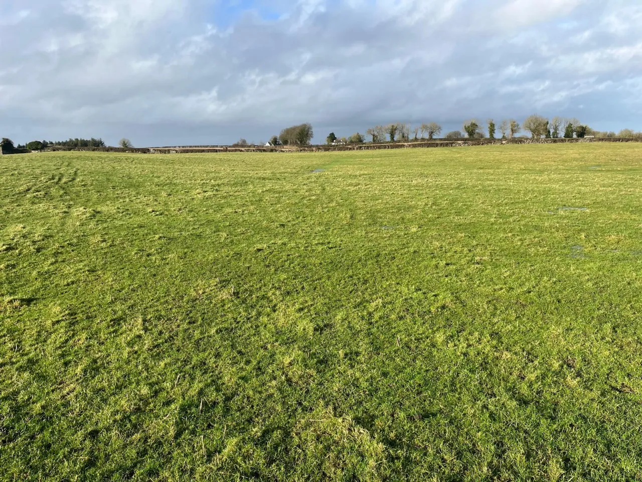 Photo of Roran, Terryglass, Co. Tipperary