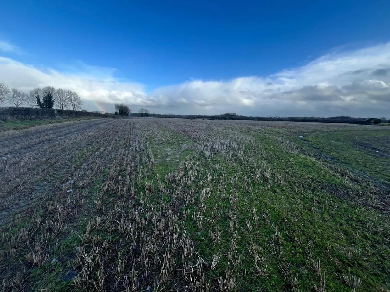Photo of Roran, Terryglass, Co. Tipperary