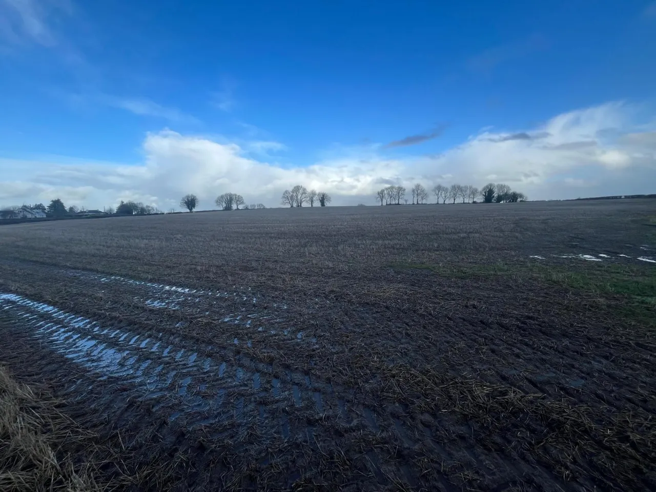 Photo of Roran, Terryglass, Co. Tipperary