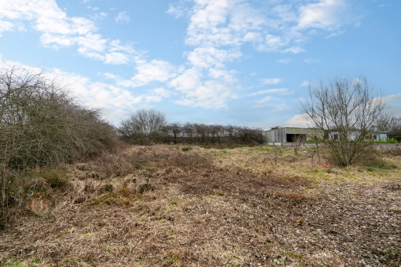 Photo of Kings Bog, The Commons,, Newtown,, Kildare.