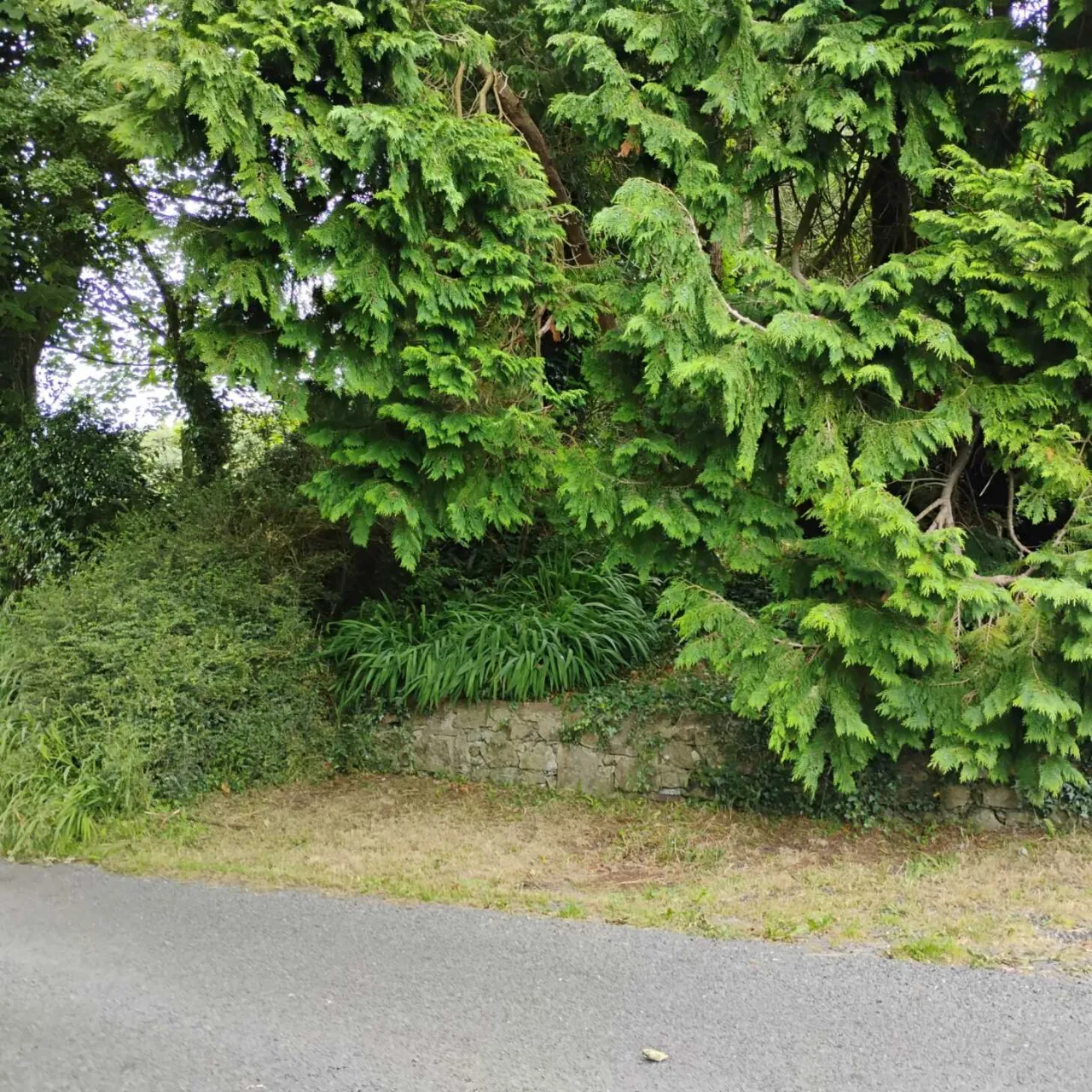 Photo of The  Cottage, Martinstown, Collinstown, Fore East, Co. Westmeath, N91 YT73