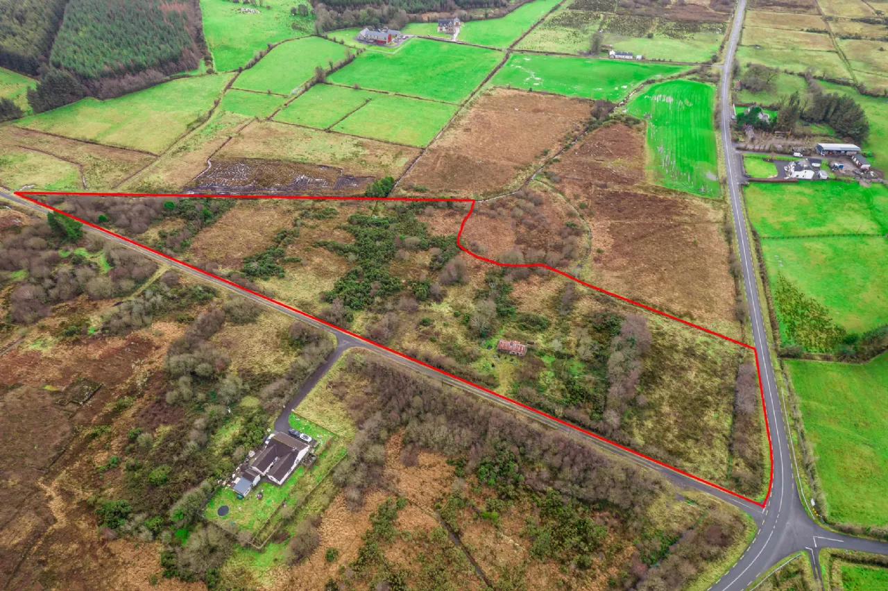 Photo of Tully Land For Sale, Loughglynn, Co Roscommon