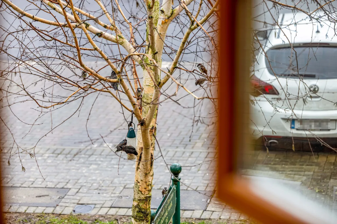 Photo of 18 Millbourne Park, Ashbourne, Co Meath, A84 WK75