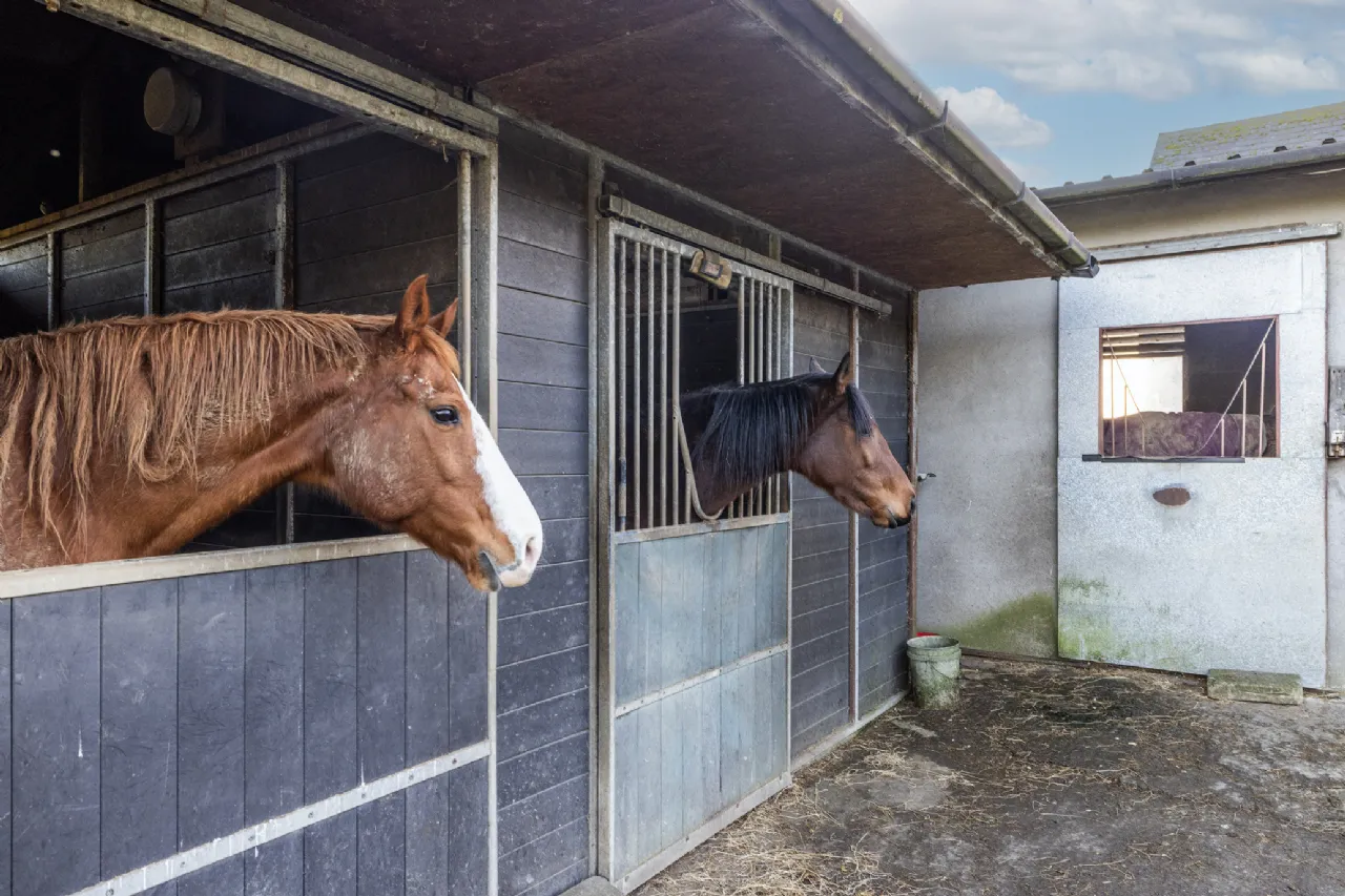 Photo of Gibblockstown,, Naul, Stamullen,, Co. Meath, K32 YF63