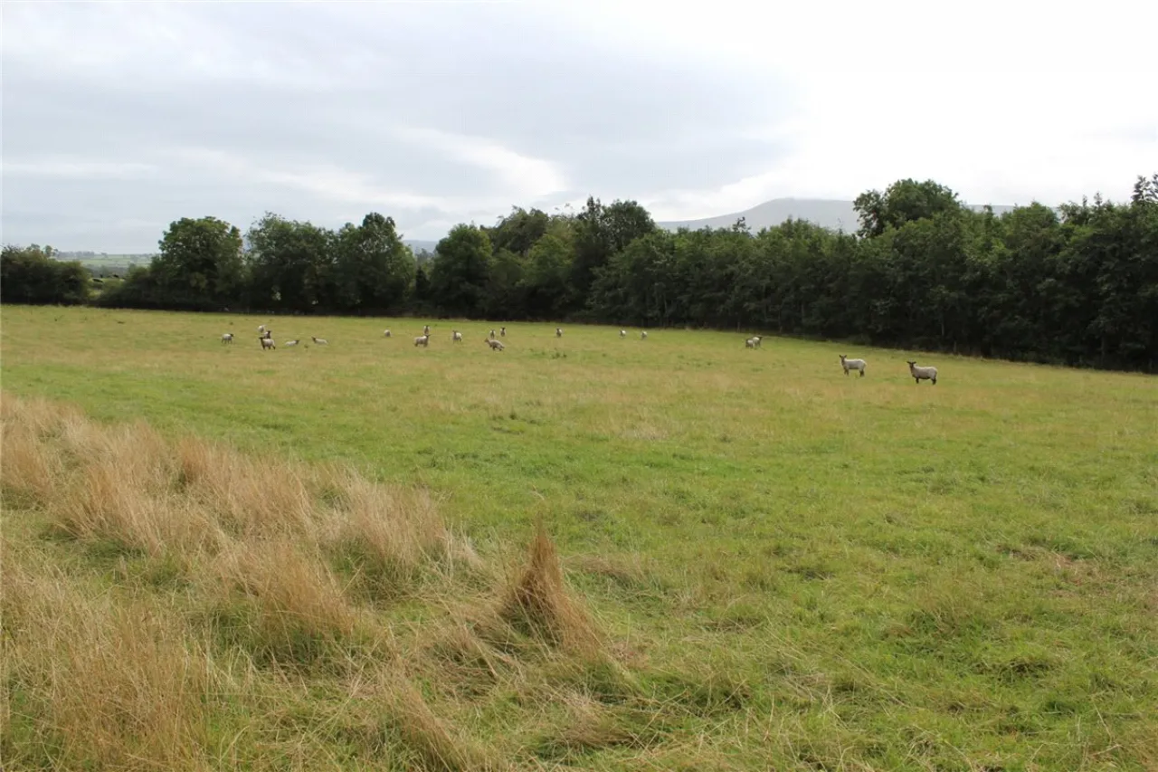 Photo of Sites For Sale, Corrie Beg,, Bagenalstown,, Co Carlow