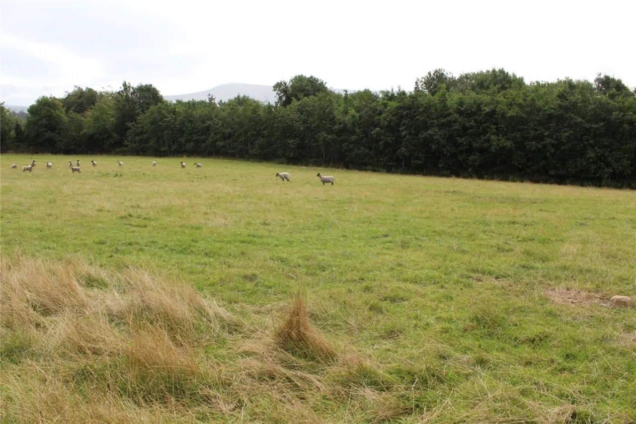 Photo of Sites For Sale, Corrie Beg,, Bagenalstown,, Co Carlow