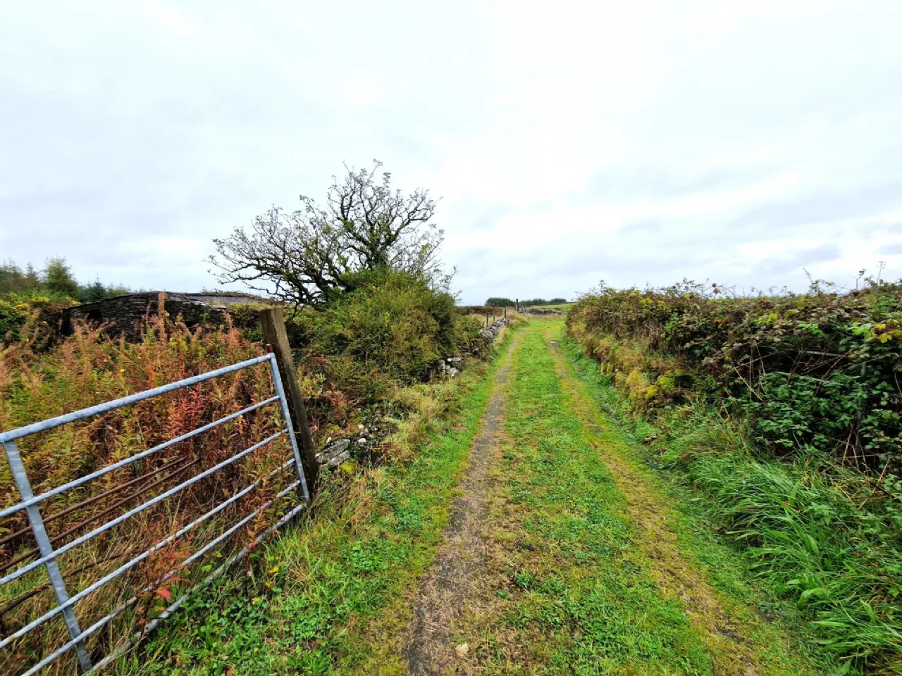 Photo of Derryronane, Swinford, Co Mayo