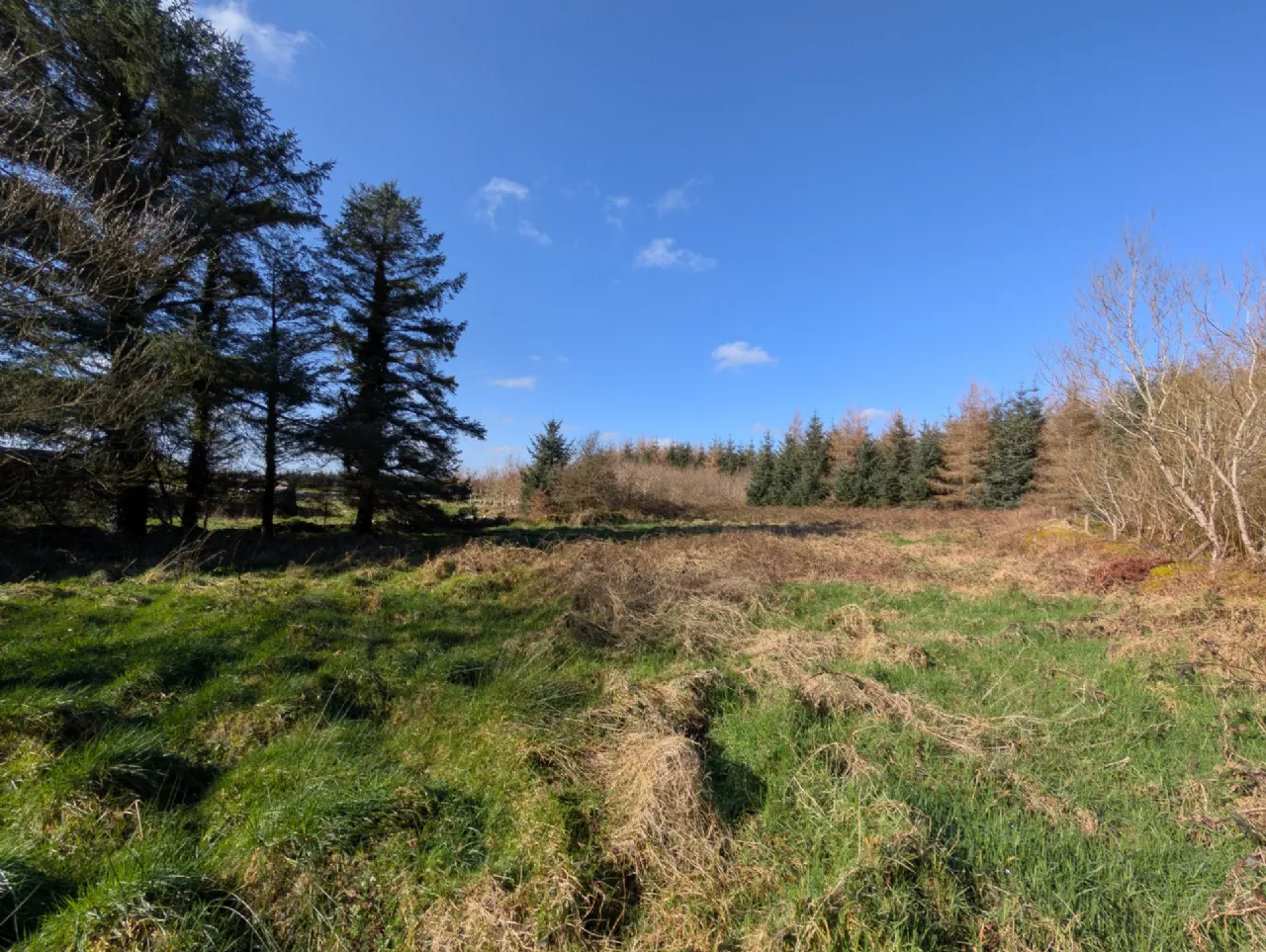 Photo of Derryronane, Swinford, Co Mayo