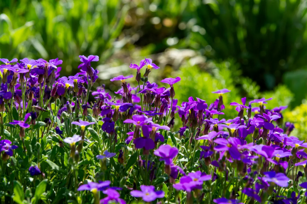 Photo of GlenCorrig House On Aprx.5.61 Acres, Brosna, Shinrone, Birr, Co Offaly, R42 XE19